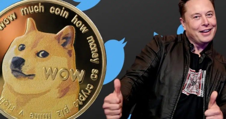 Why Did Elon Musk Change Twitter Logo to Dogecoin?